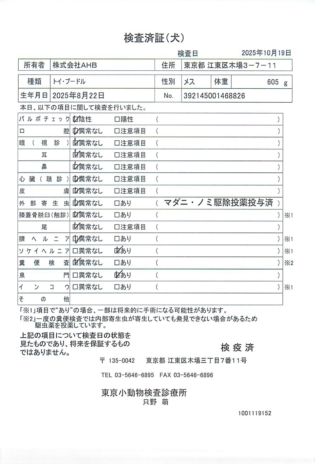 トイ・プードル