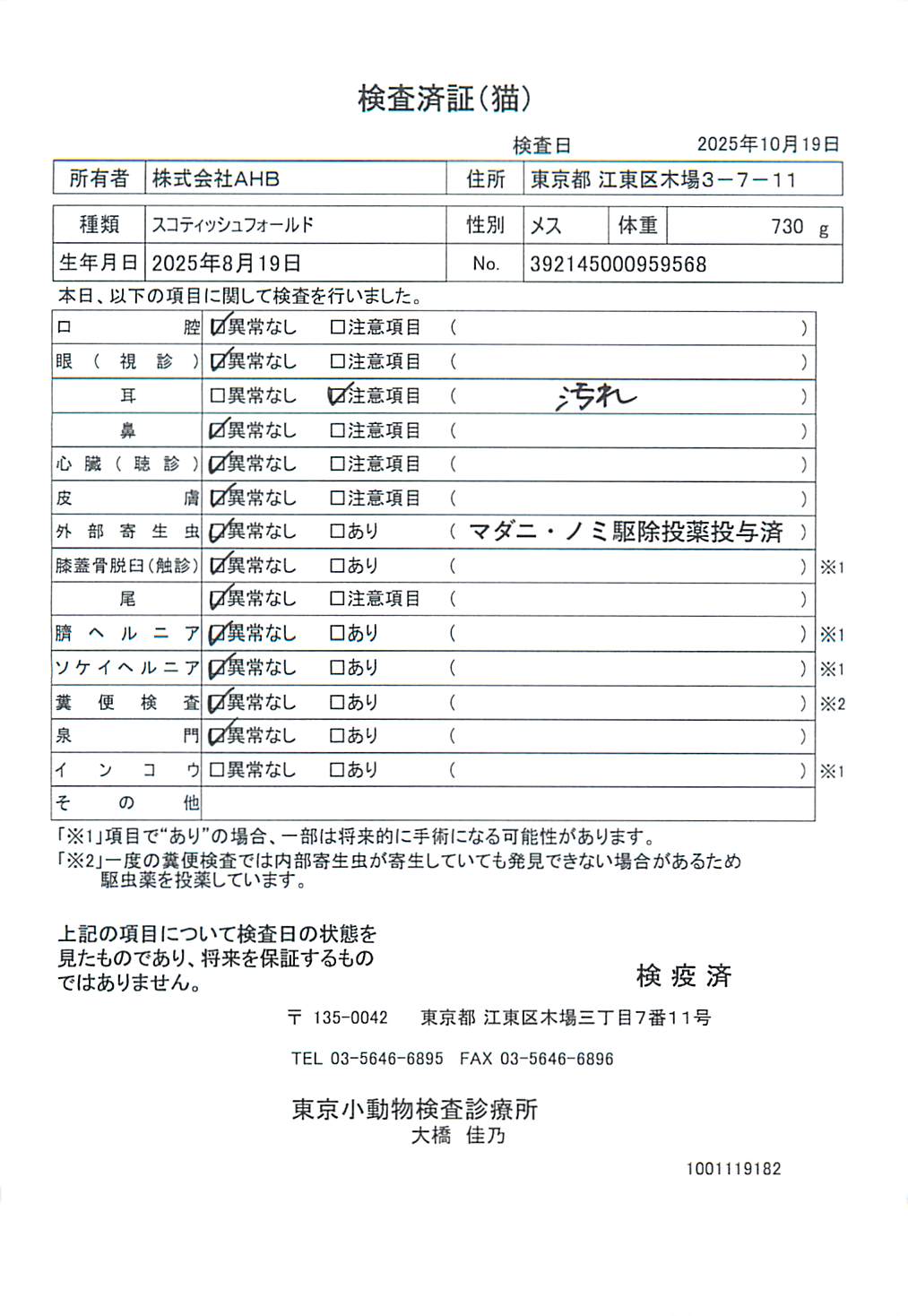 スコティッシュフォールド