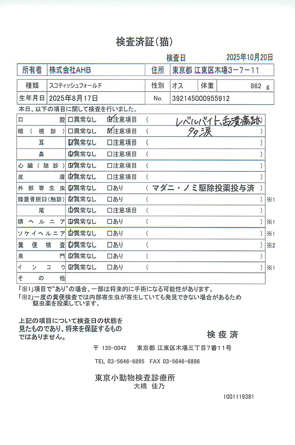 スコティッシュフォールド