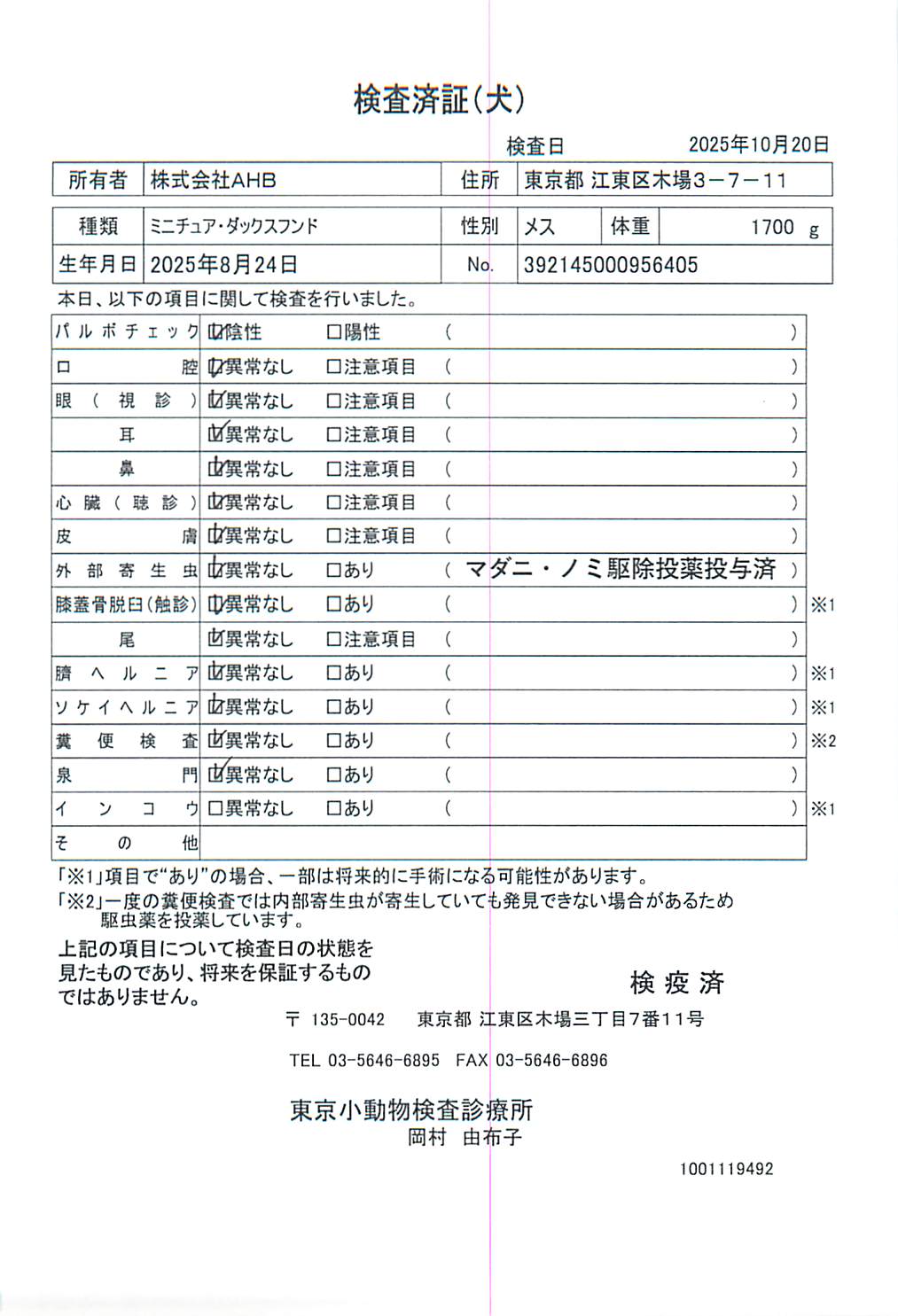 ミニチュア・ダックスフンド