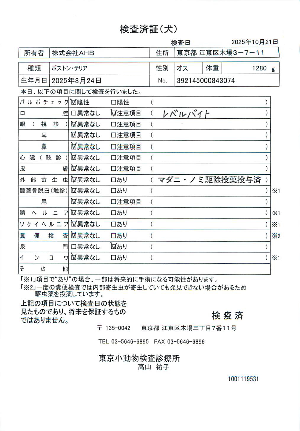 ボストン・テリア