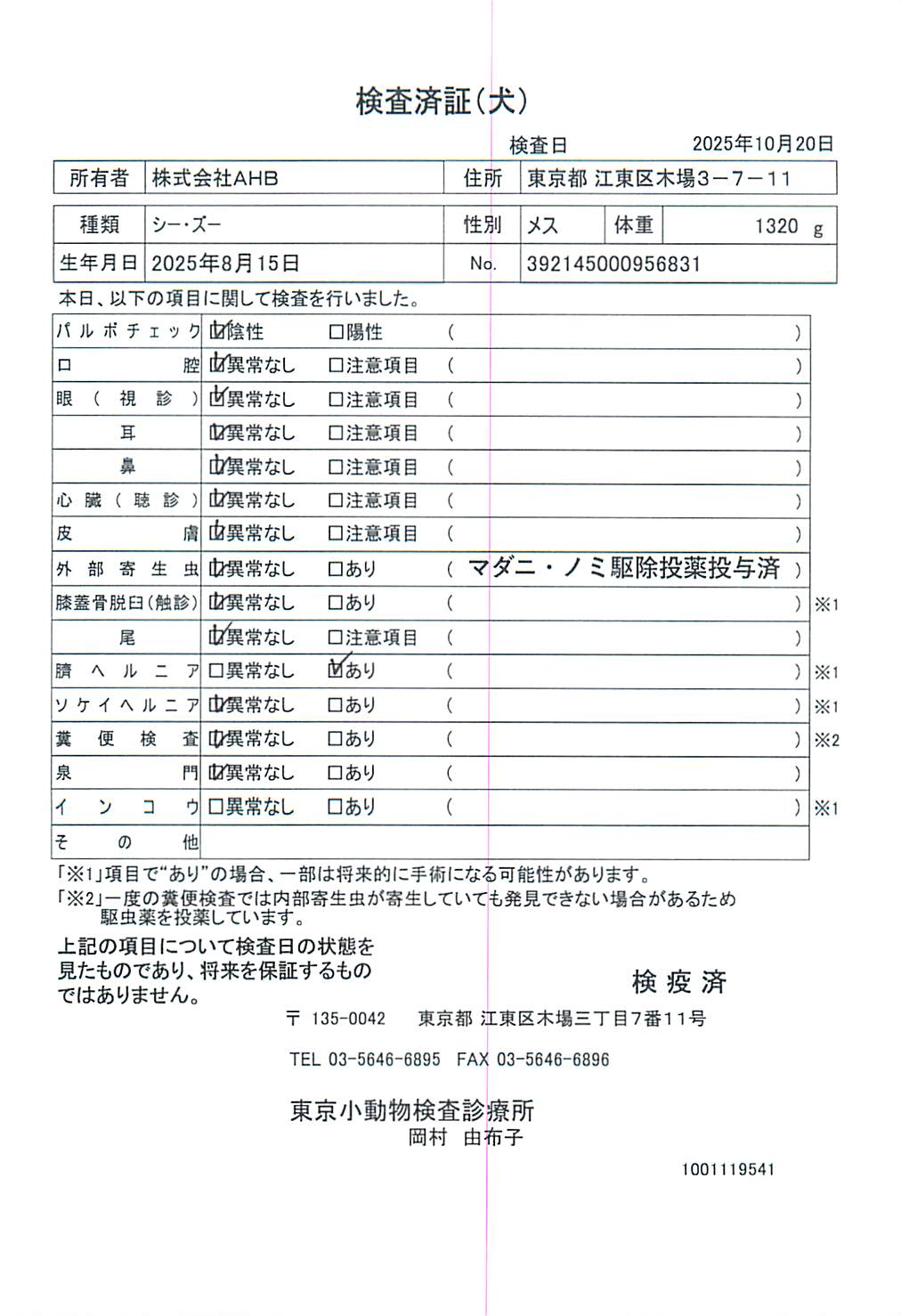シー・ズー