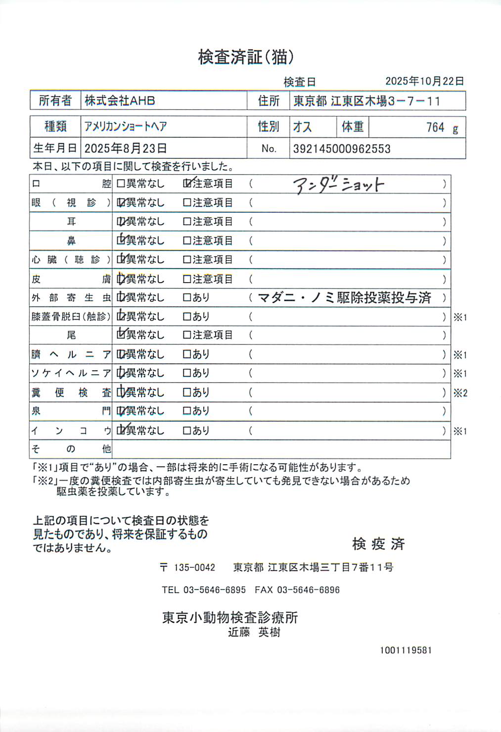 アメリカンショートヘア
