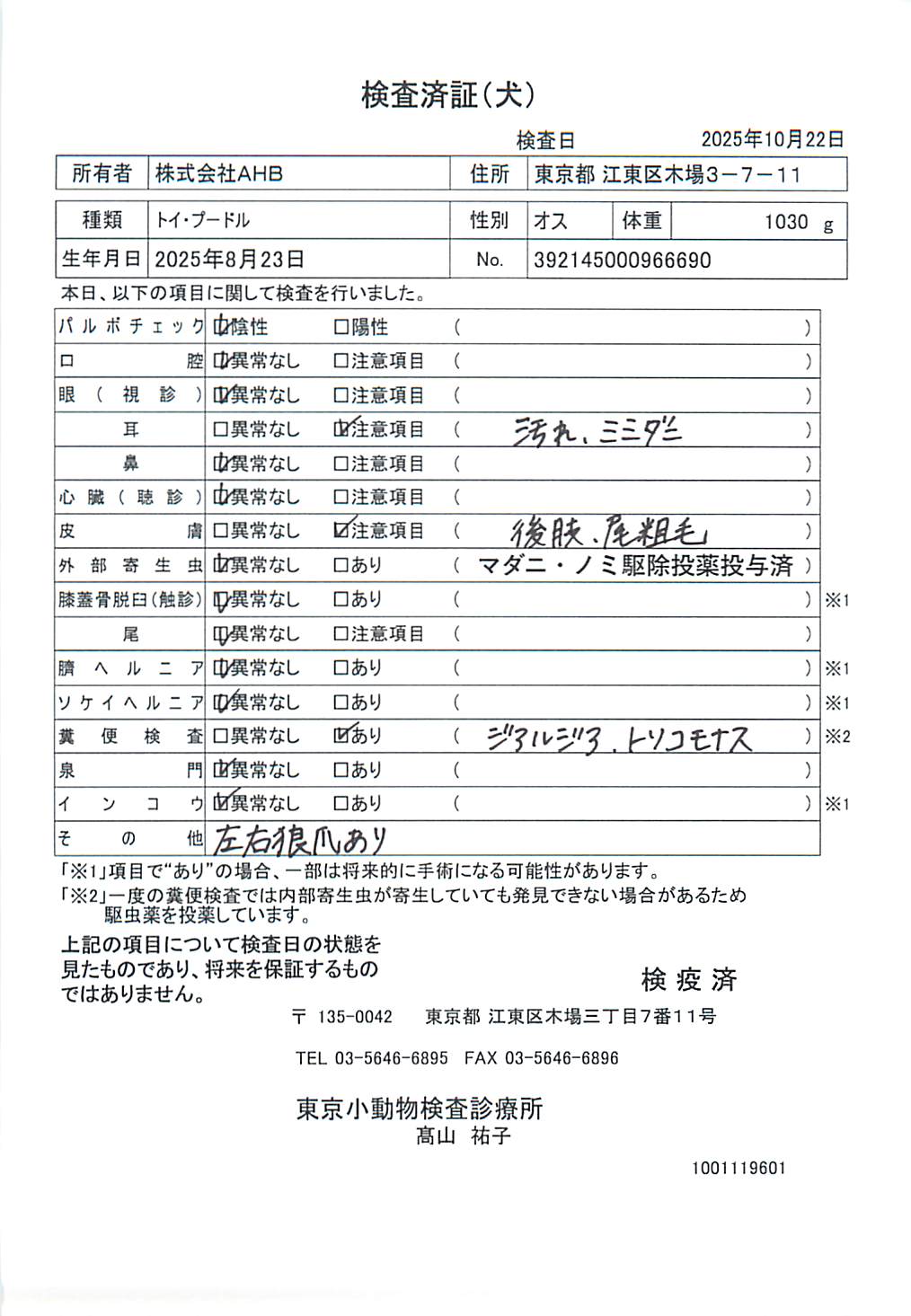 トイ・プードル