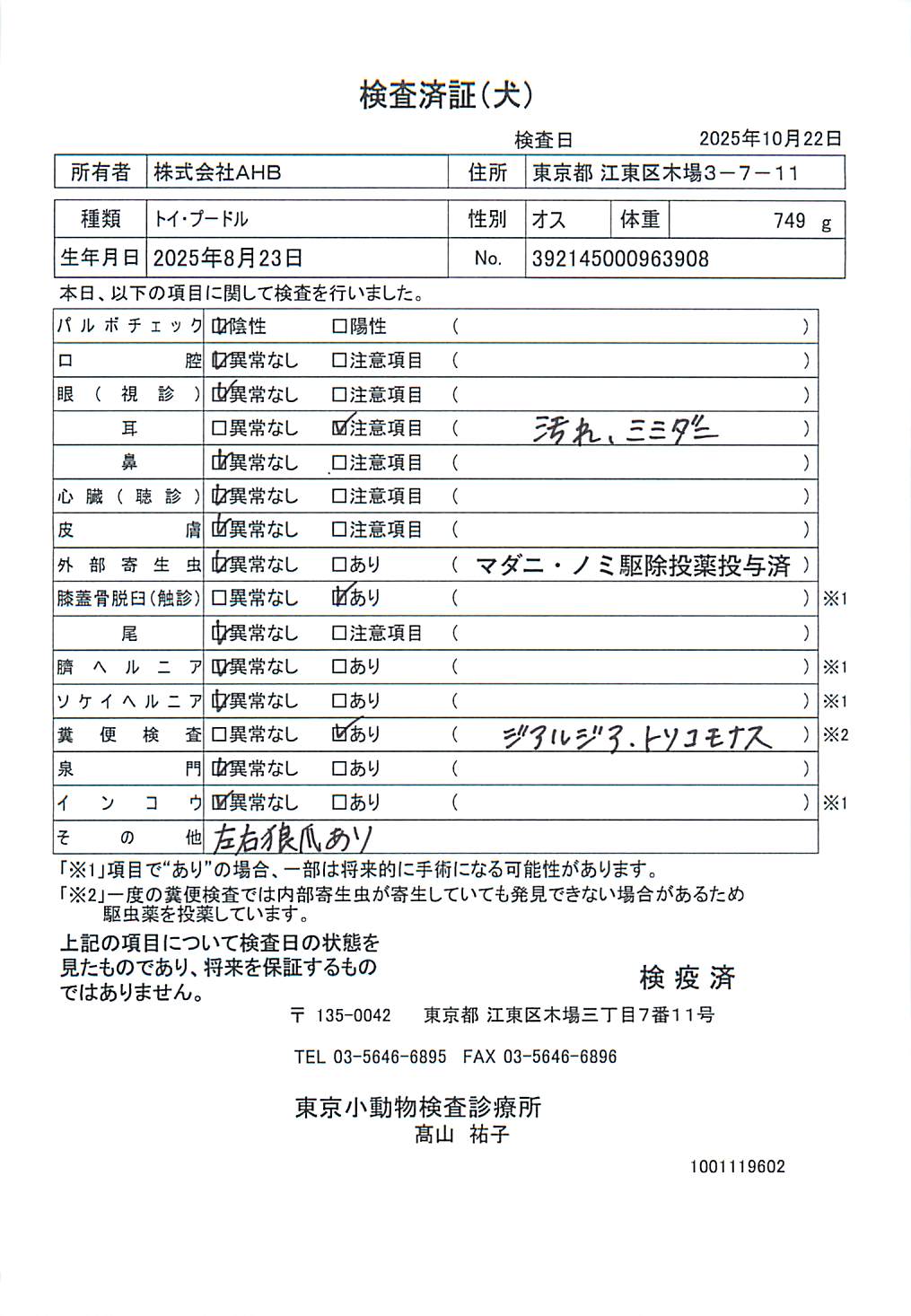 トイ・プードル