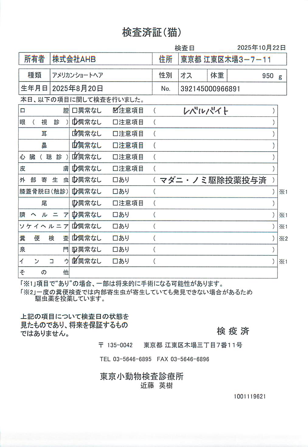 アメリカンショートヘア
