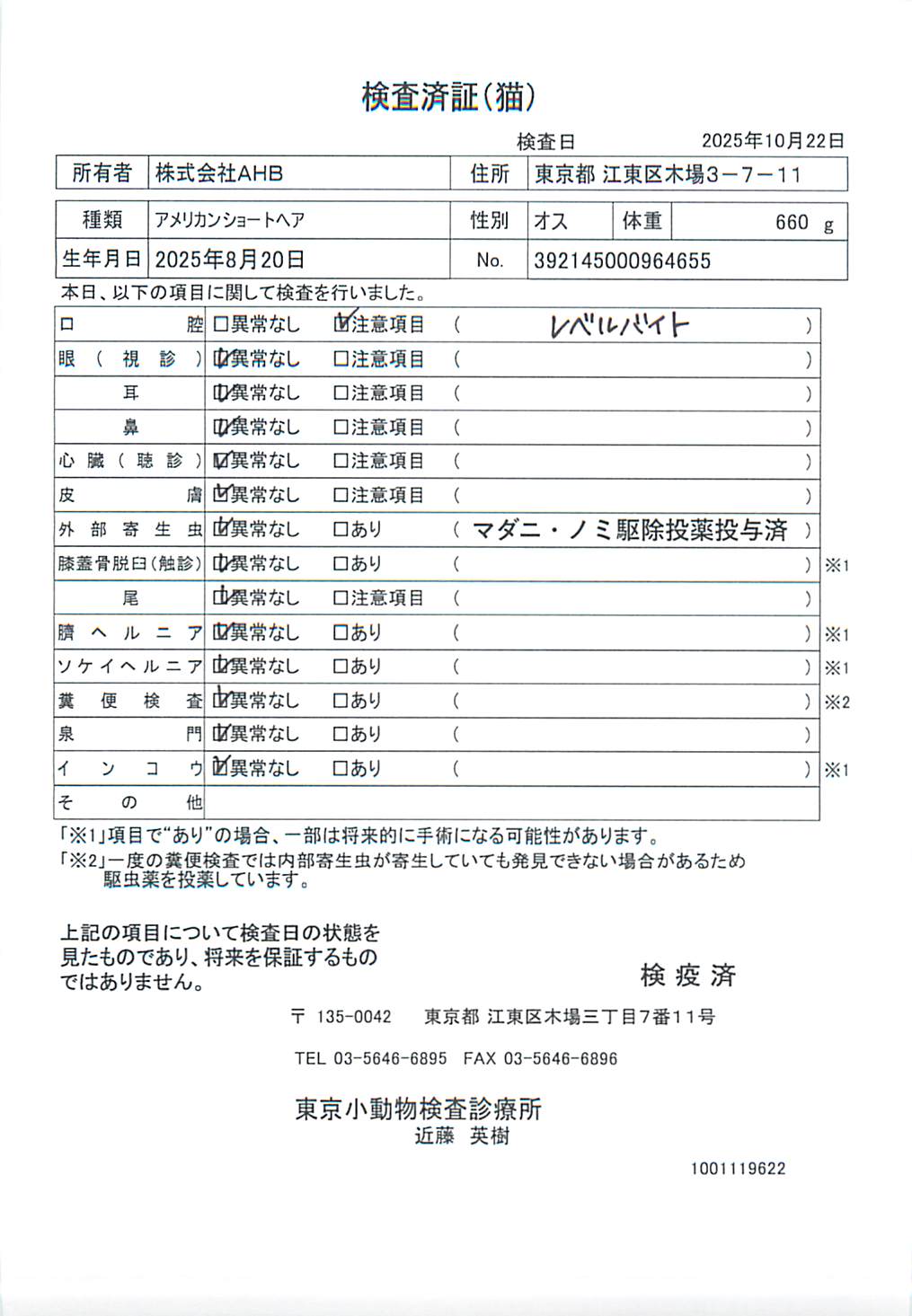 アメリカンショートヘア