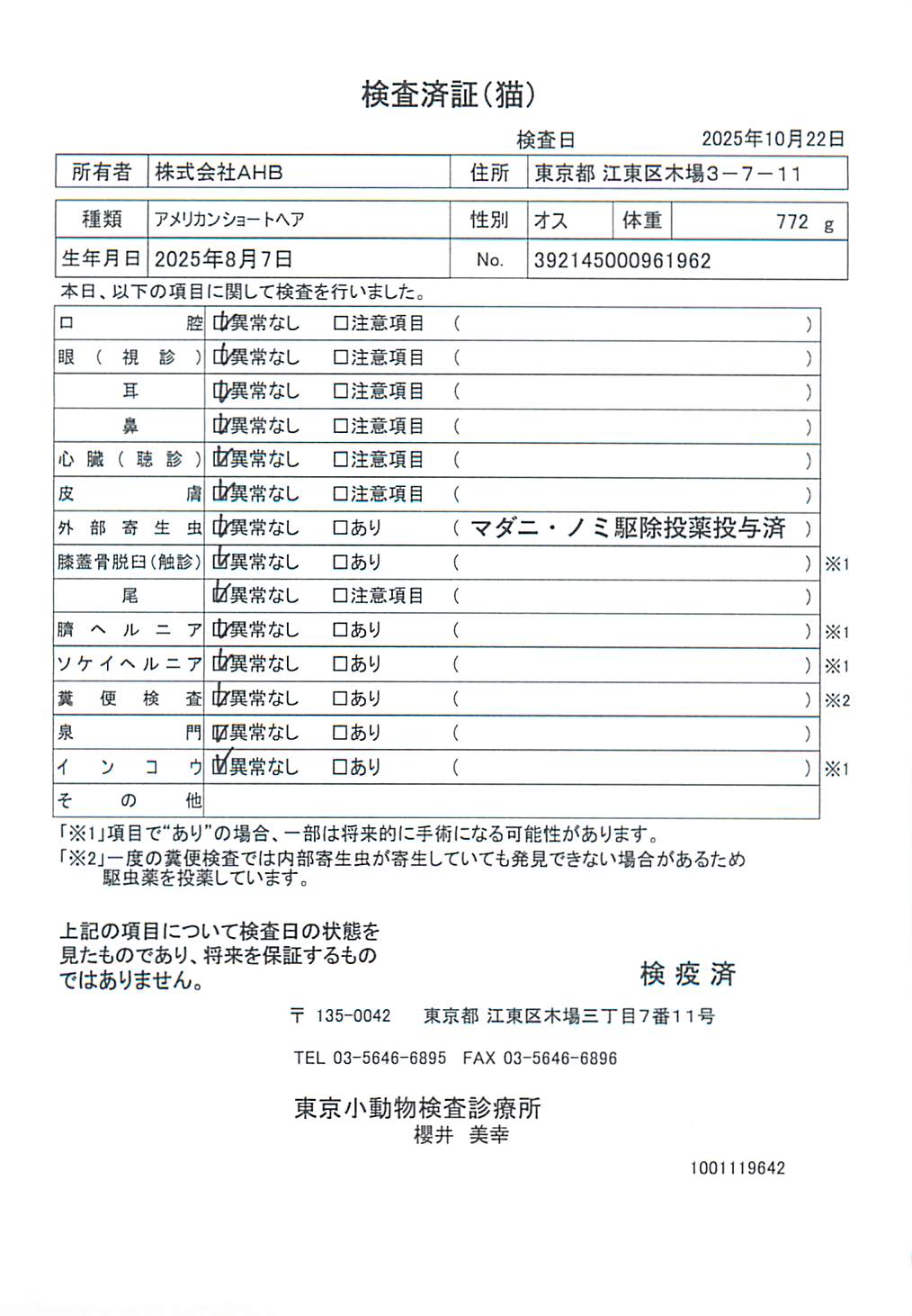 アメリカンショートヘア