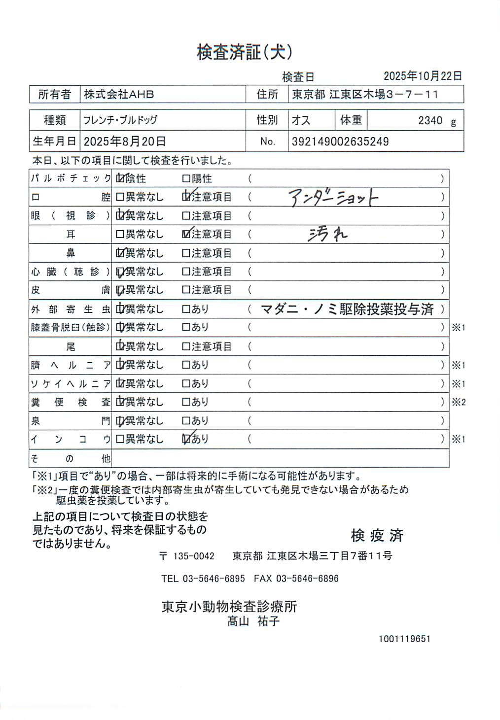 フレンチ・ブルドッグ