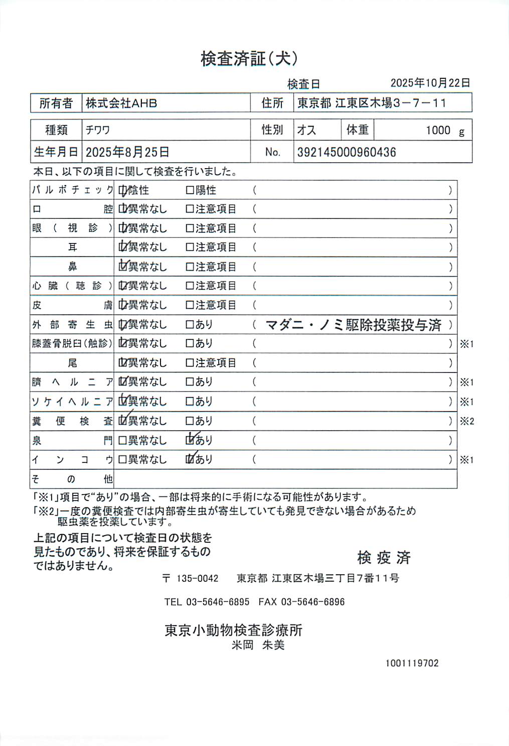 チワワ