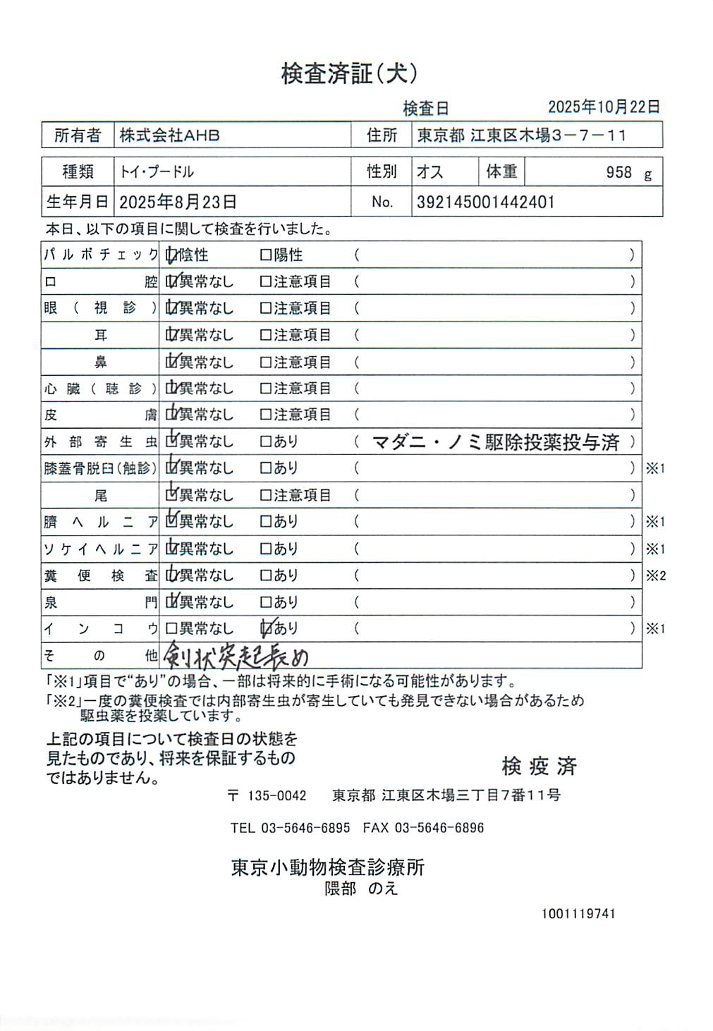 トイ・プードル