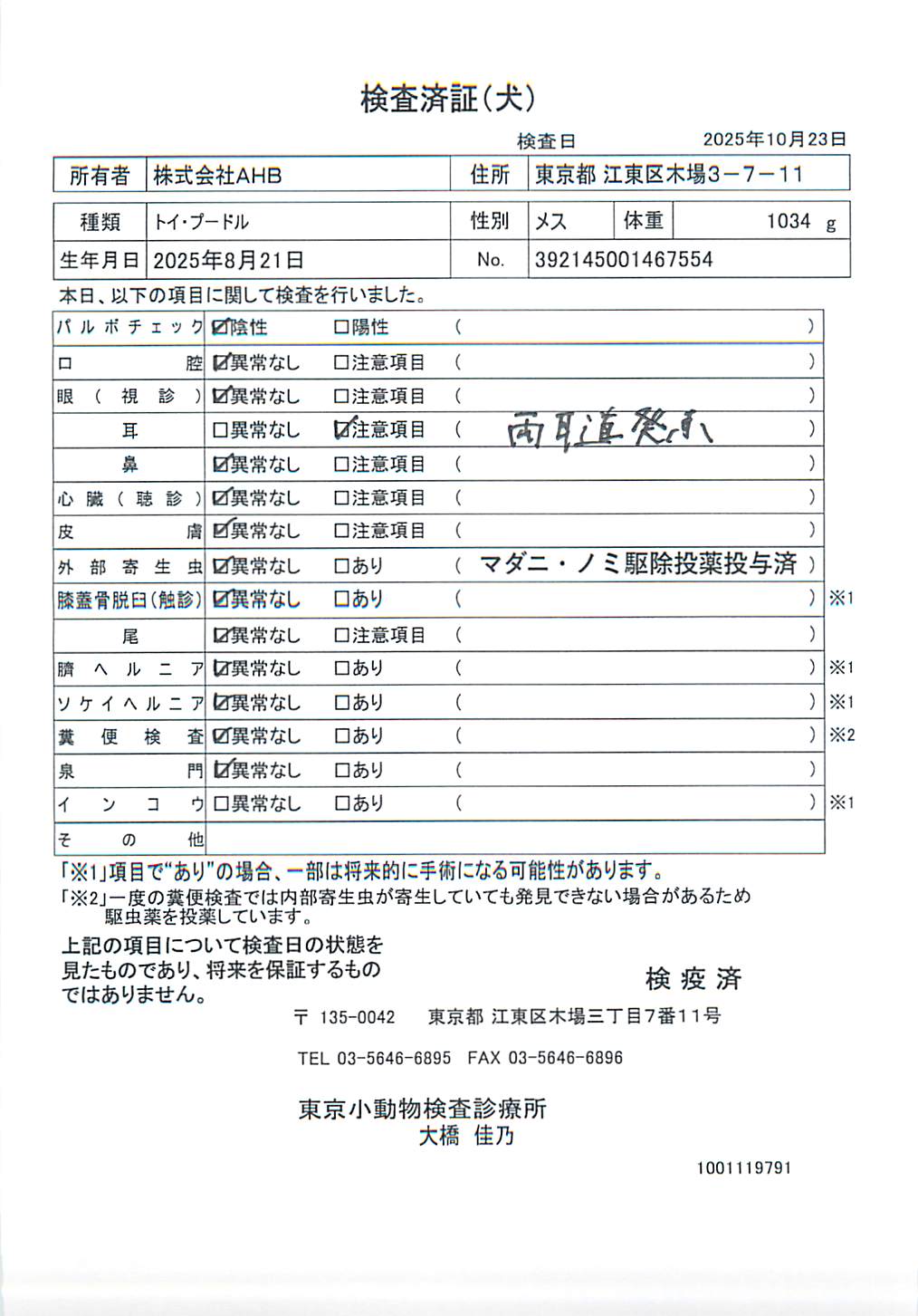 トイ・プードル