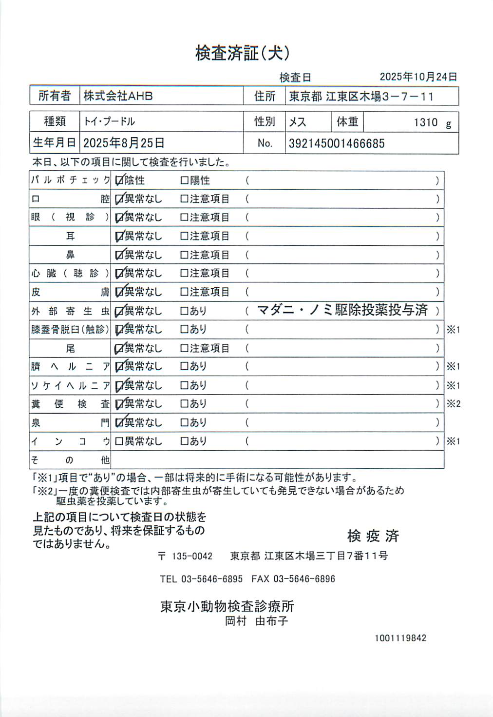 トイ・プードル