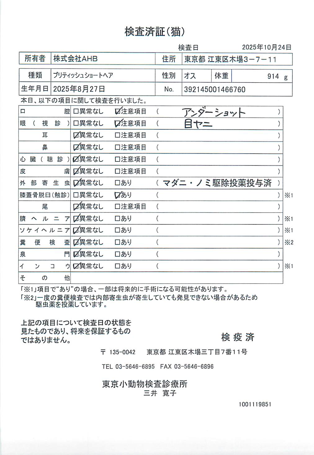 ブリティッシュショートヘア