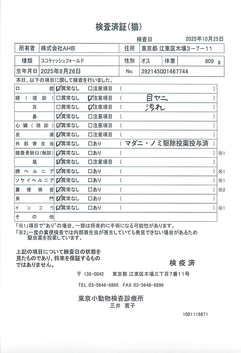 スコティッシュフォールド