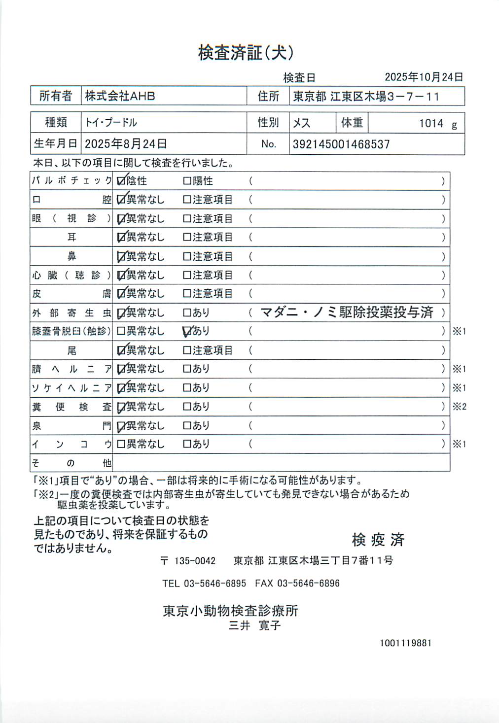 トイ・プードル