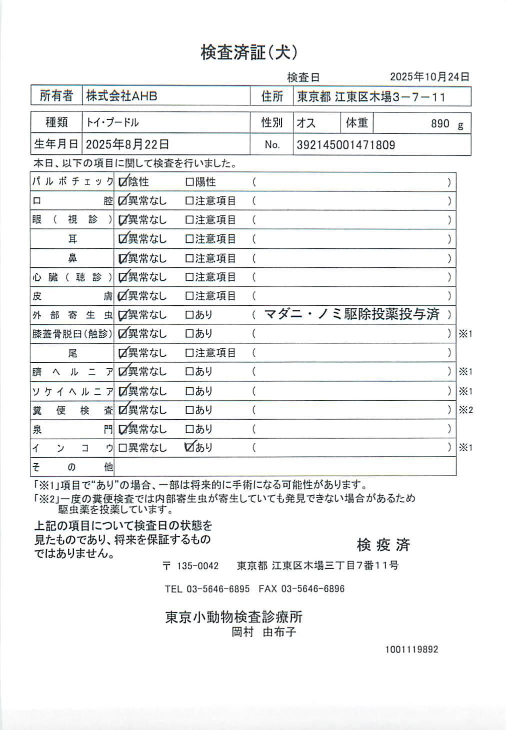 トイ・プードル