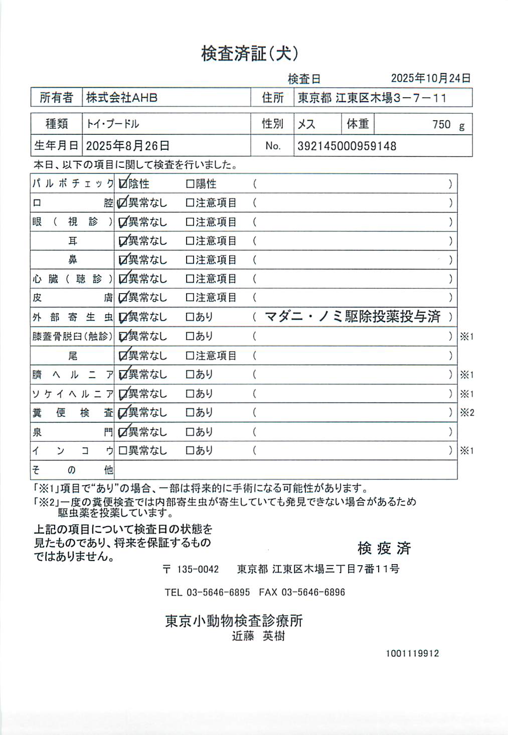 トイ・プードル