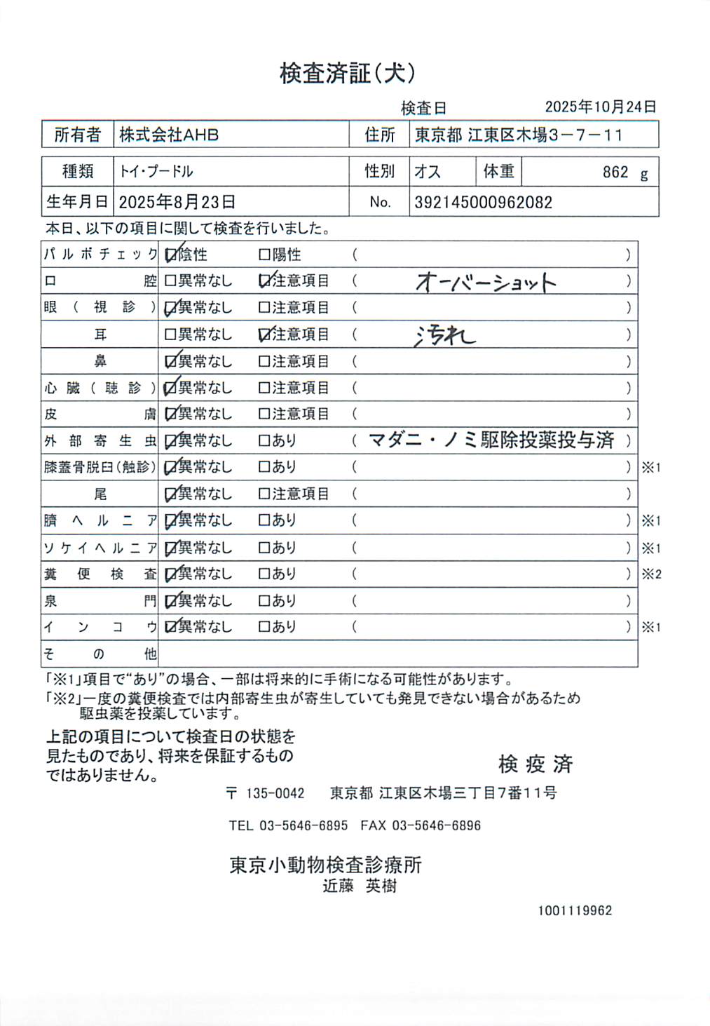 トイ・プードル