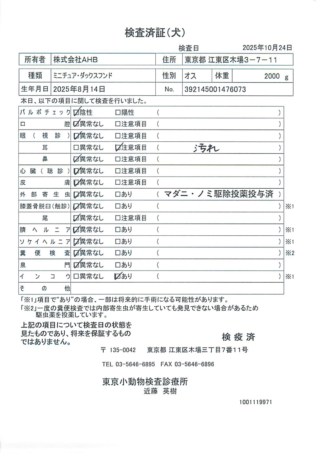 ミニチュア・ダックスフンド