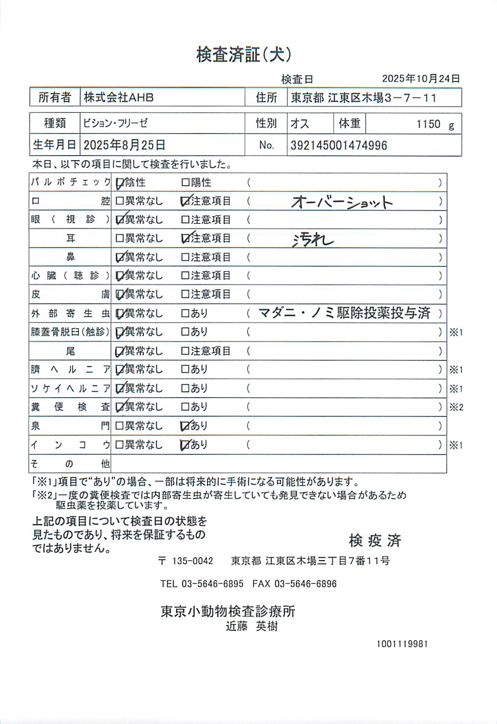 ビション・フリーゼ