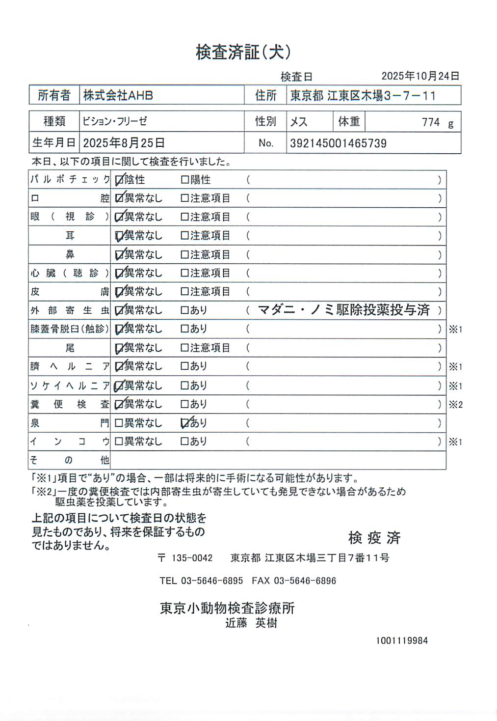 ビション・フリーゼ