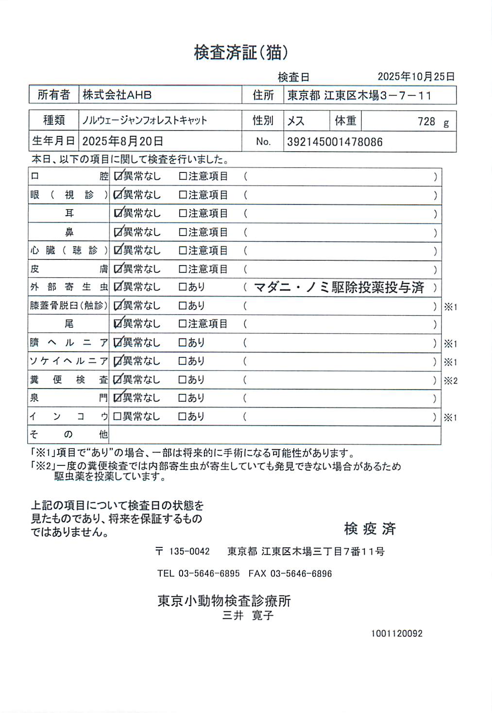 ノルウェージャンフォレストキャット