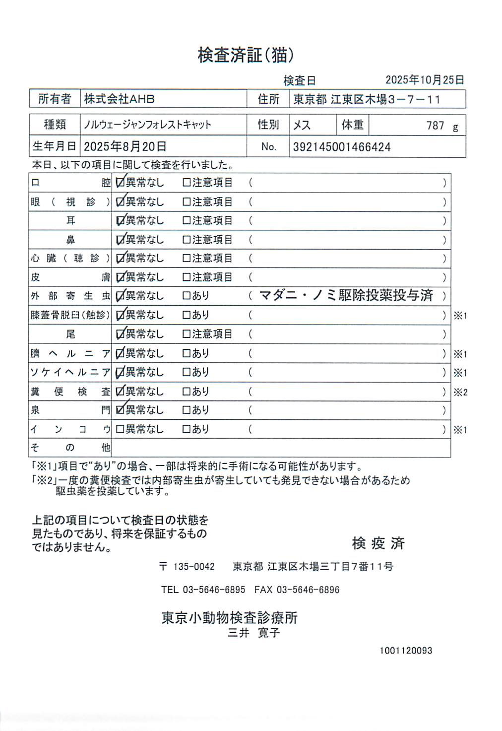 ノルウェージャンフォレストキャット