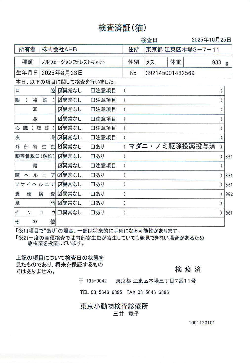 ノルウェージャンフォレストキャット