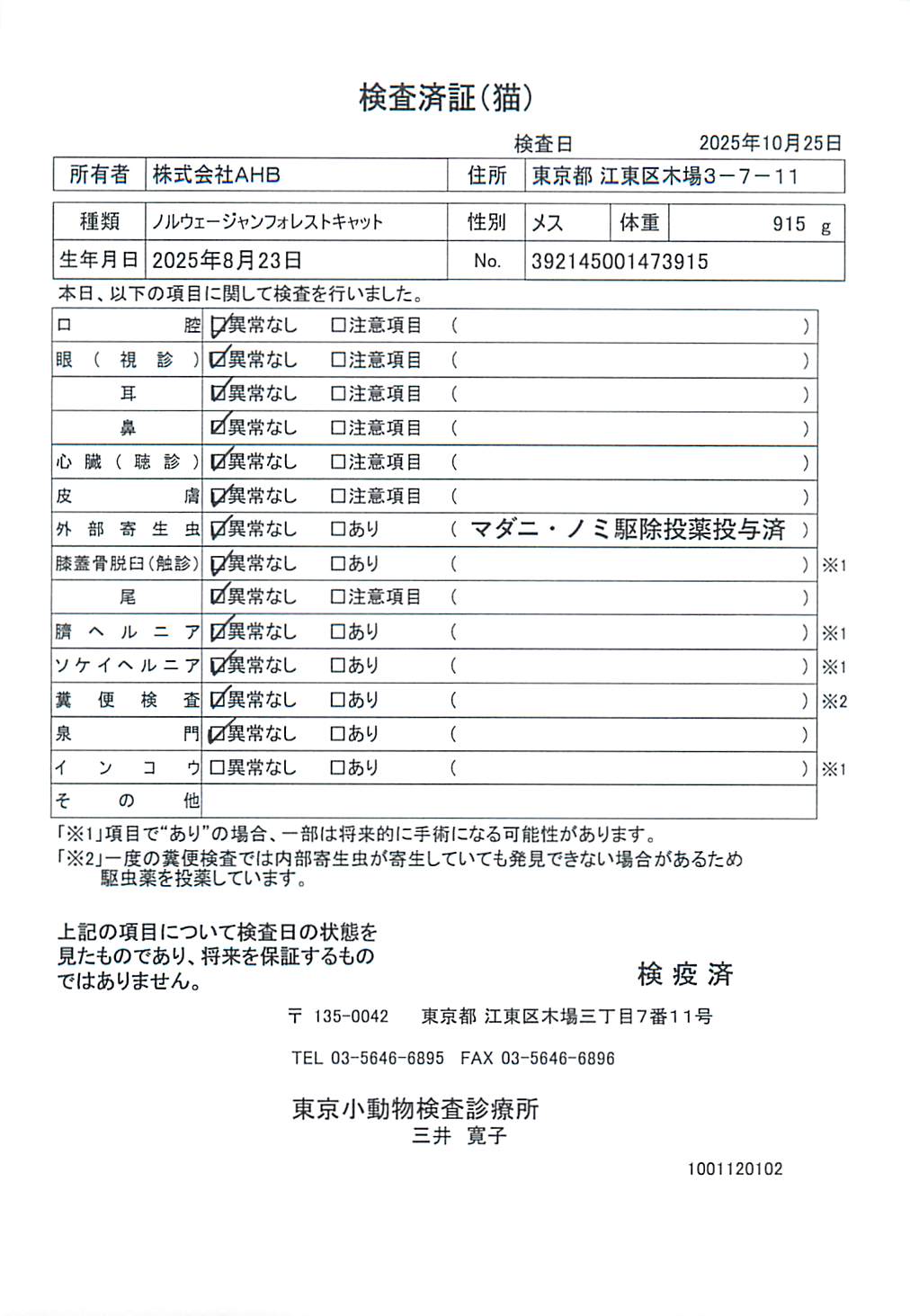 ノルウェージャンフォレストキャット
