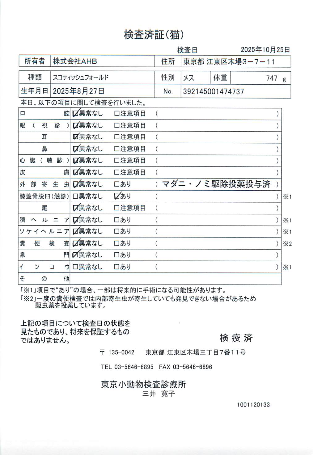 スコティッシュフォールド