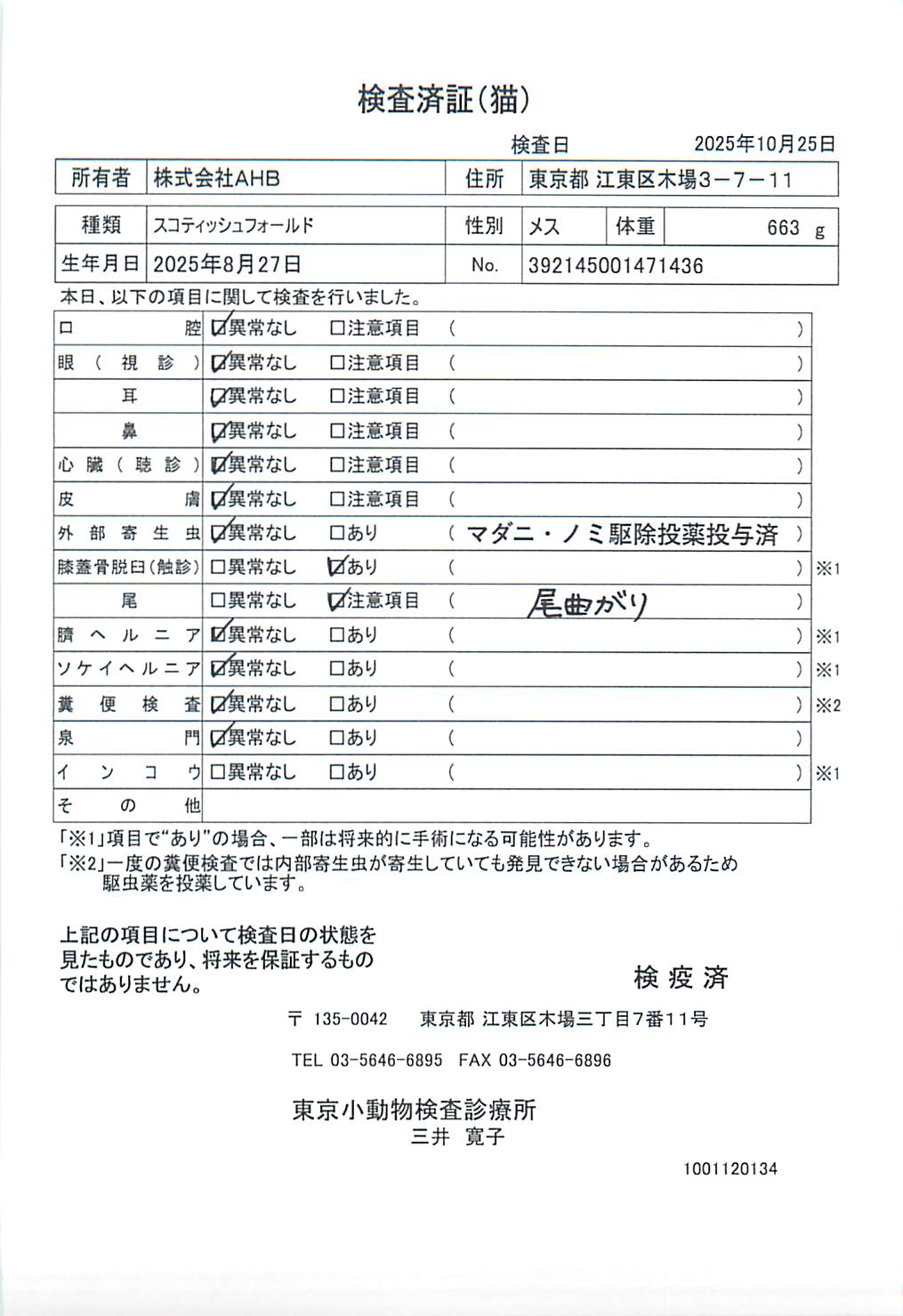 スコティッシュフォールド