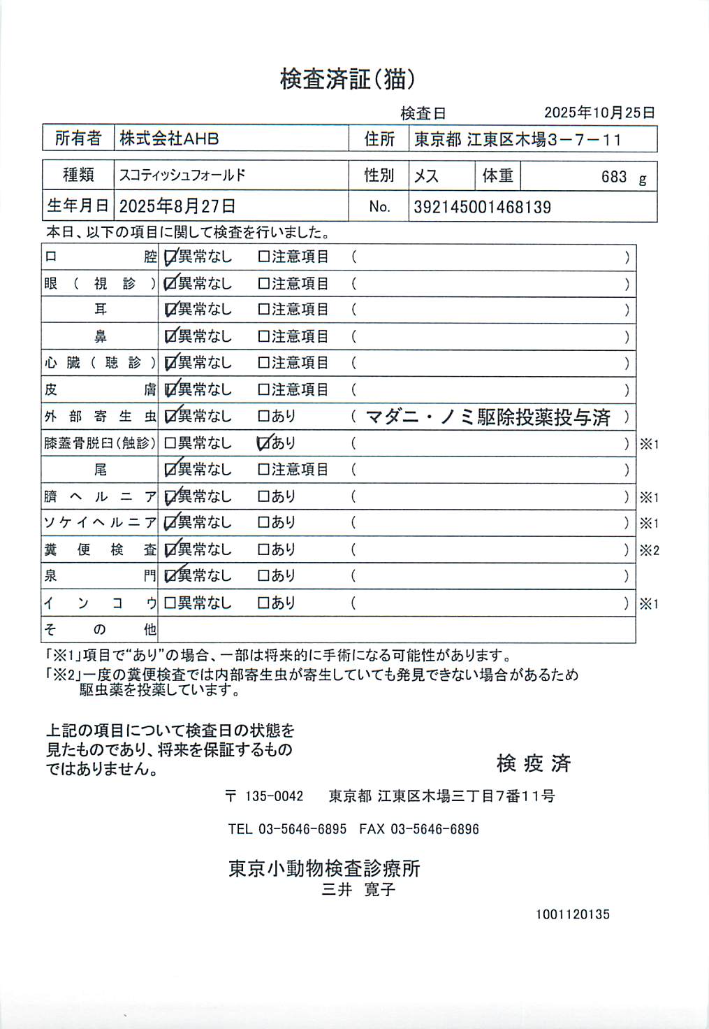 スコティッシュフォールド