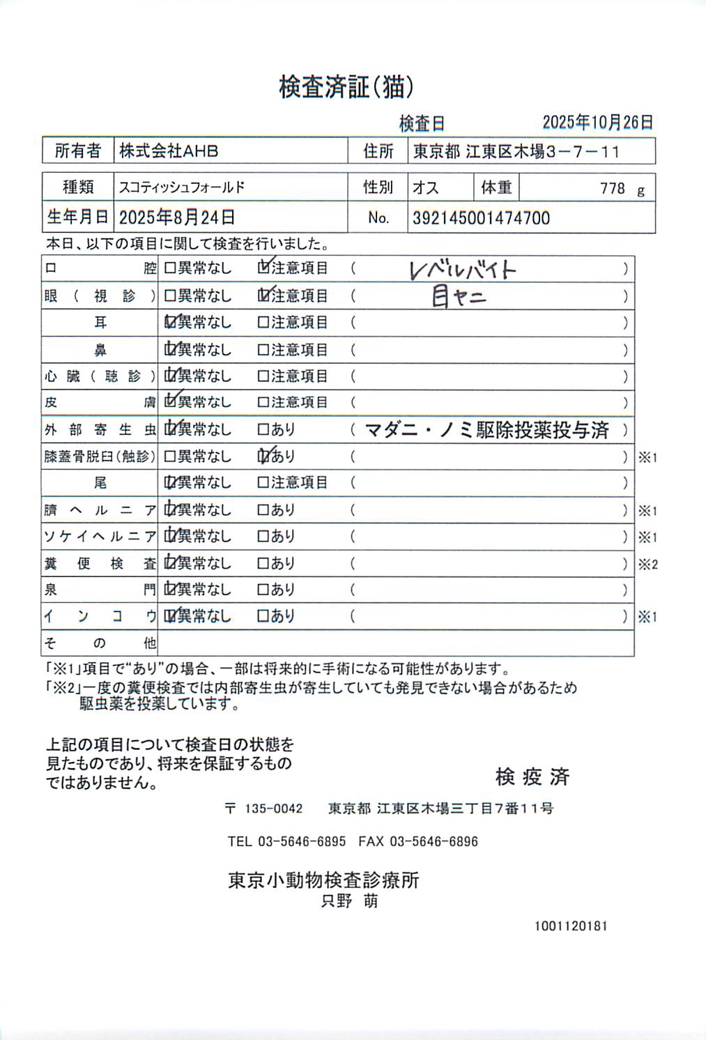 スコティッシュフォールド