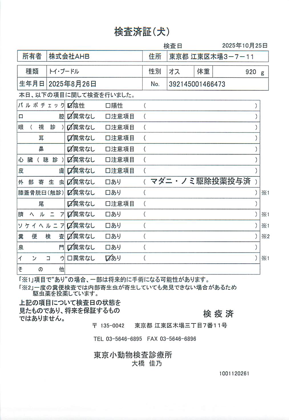 トイ・プードル