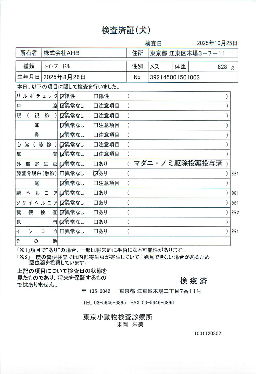トイ・プードル