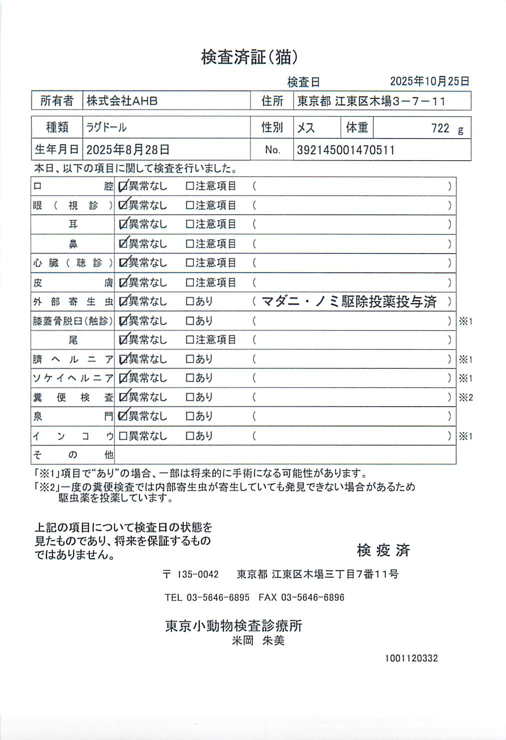 ラグドール