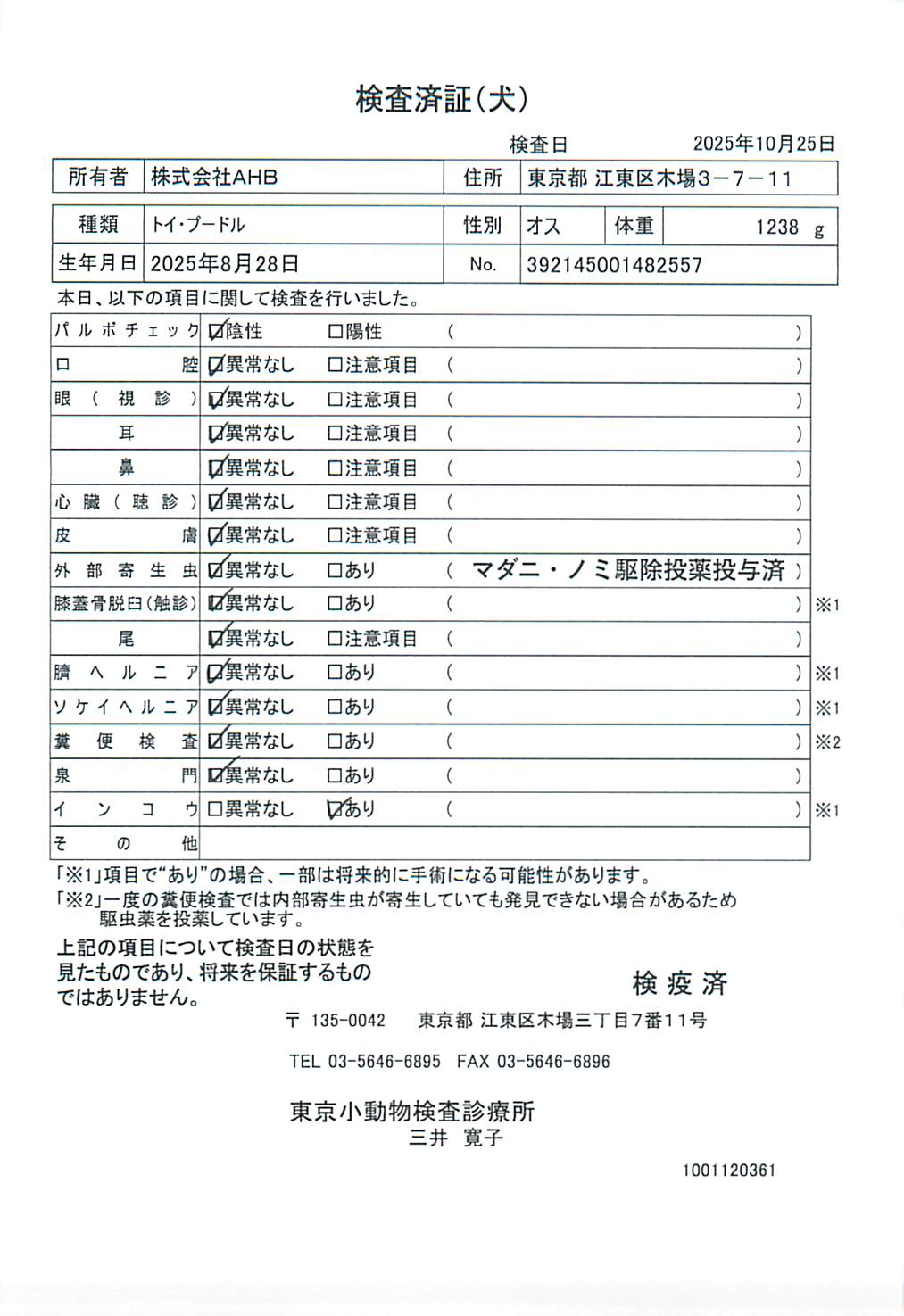 トイ・プードル