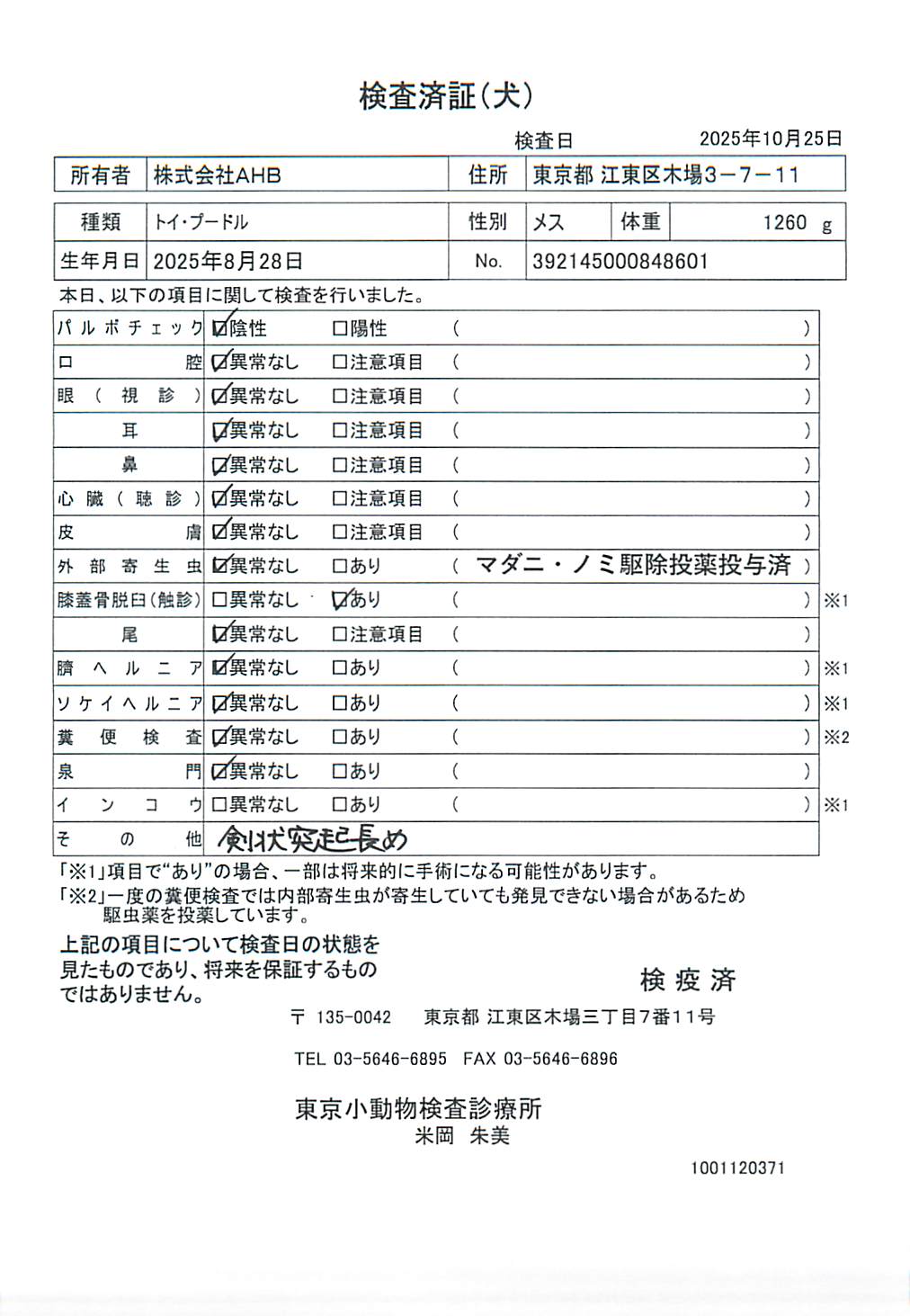 トイ・プードル