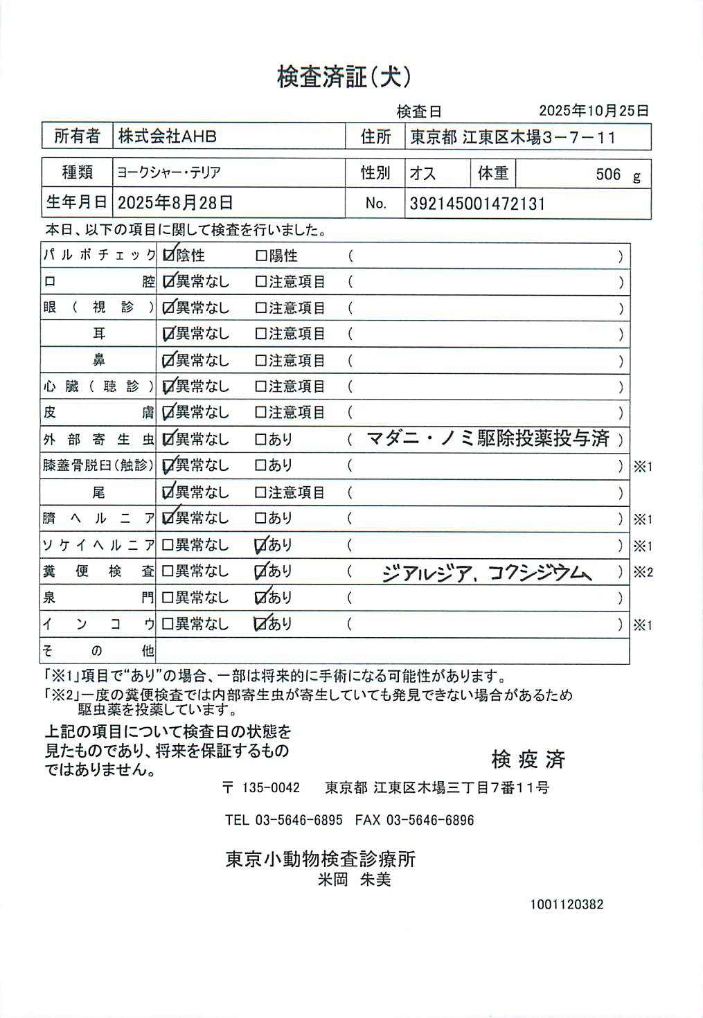 ヨークシャー・テリア