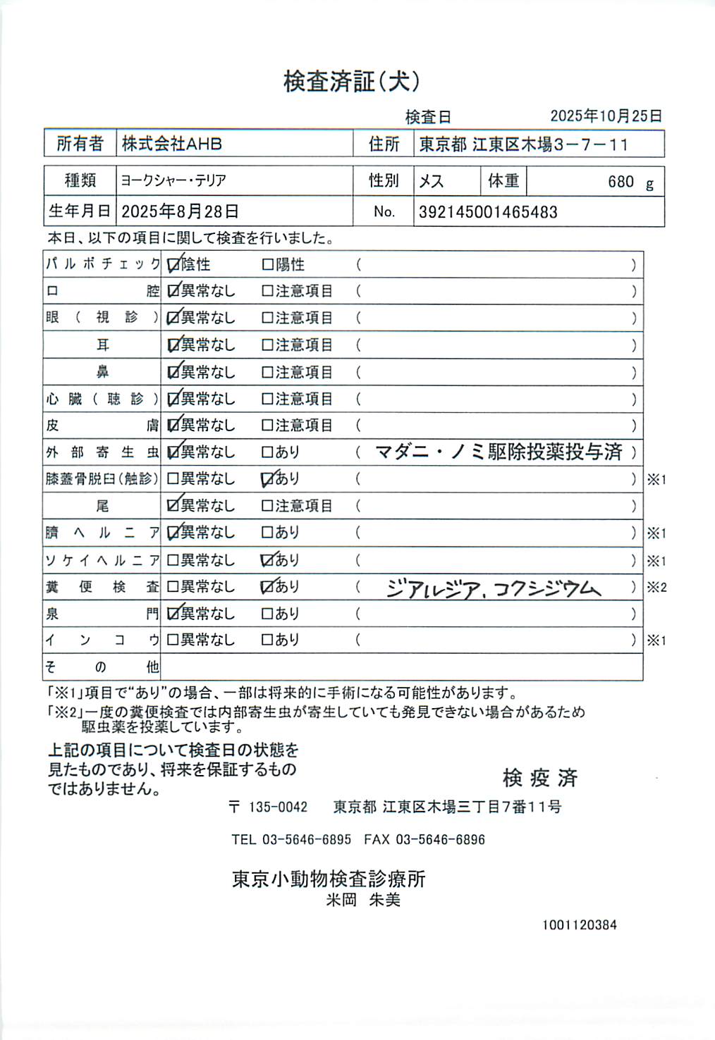 ヨークシャー・テリア