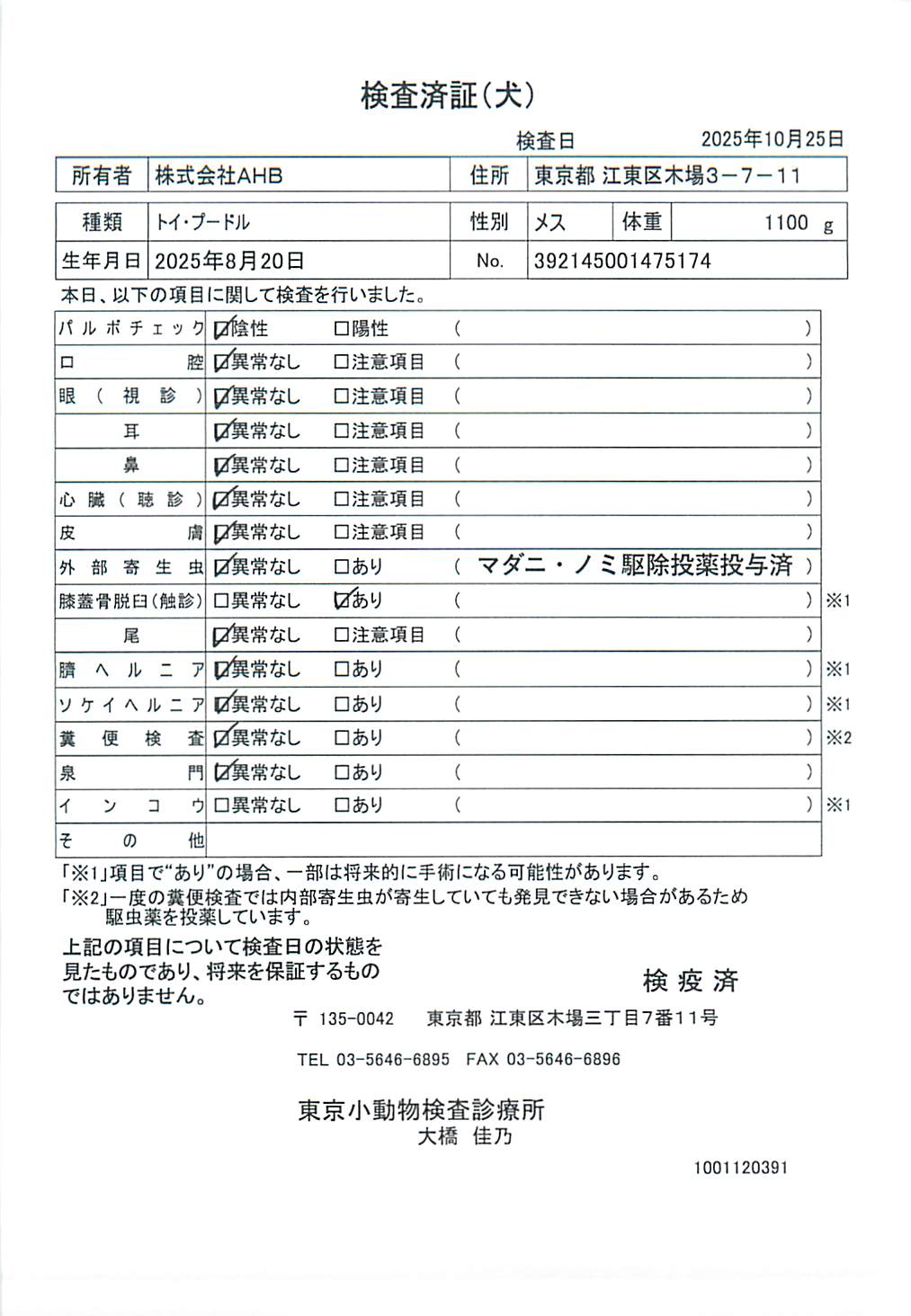 トイ・プードル