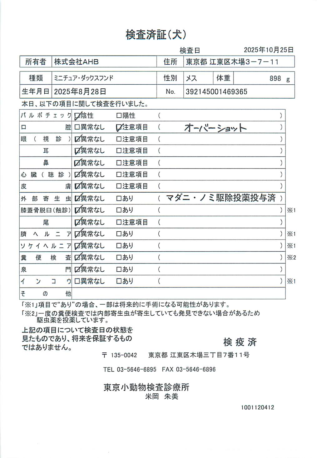 ミニチュア・ダックスフンド