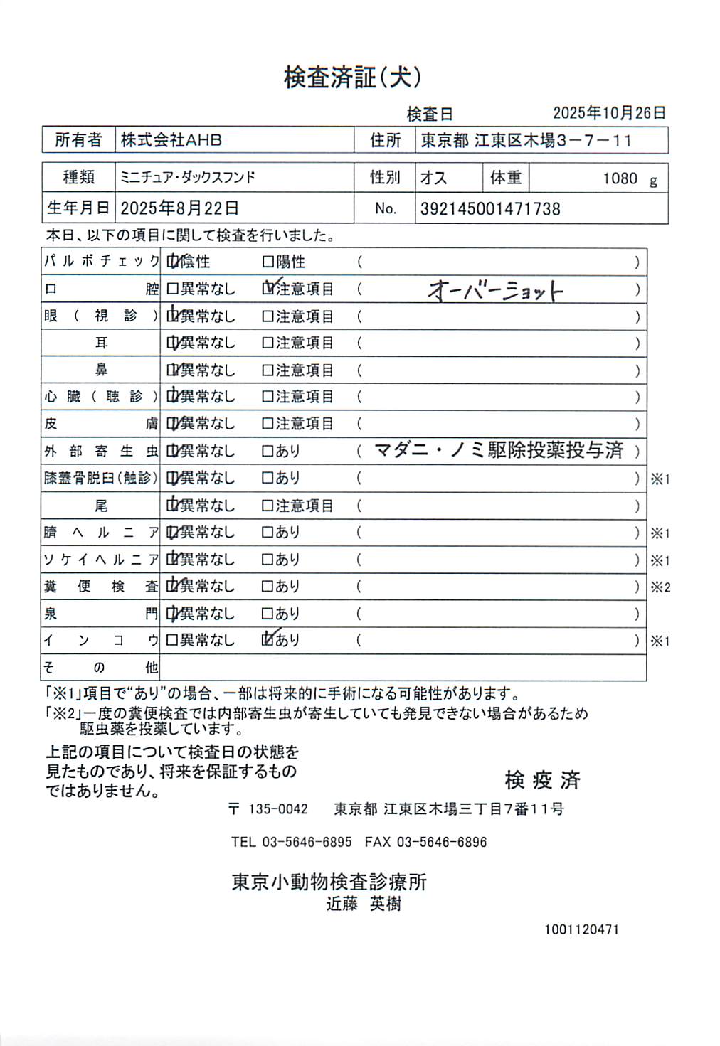 ミニチュア・ダックスフンド