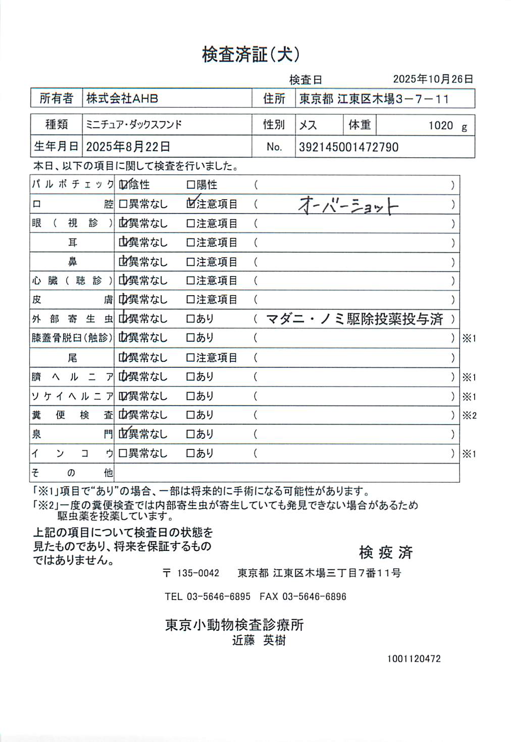 ミニチュア・ダックスフンド