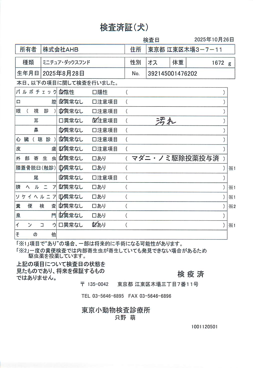 ミニチュア・ダックスフンド