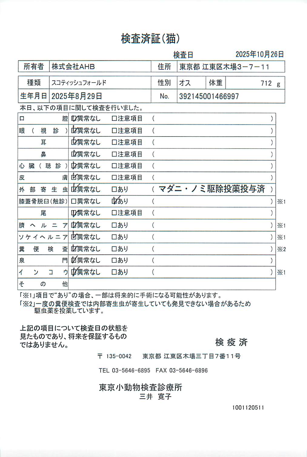 スコティッシュフォールド