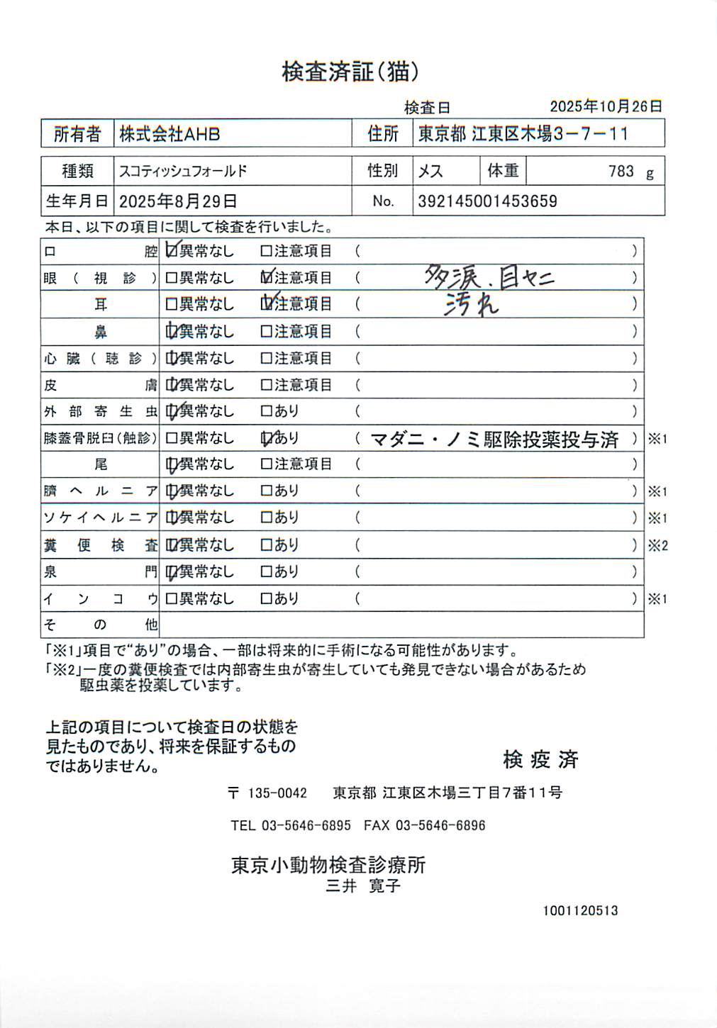 スコティッシュフォールド