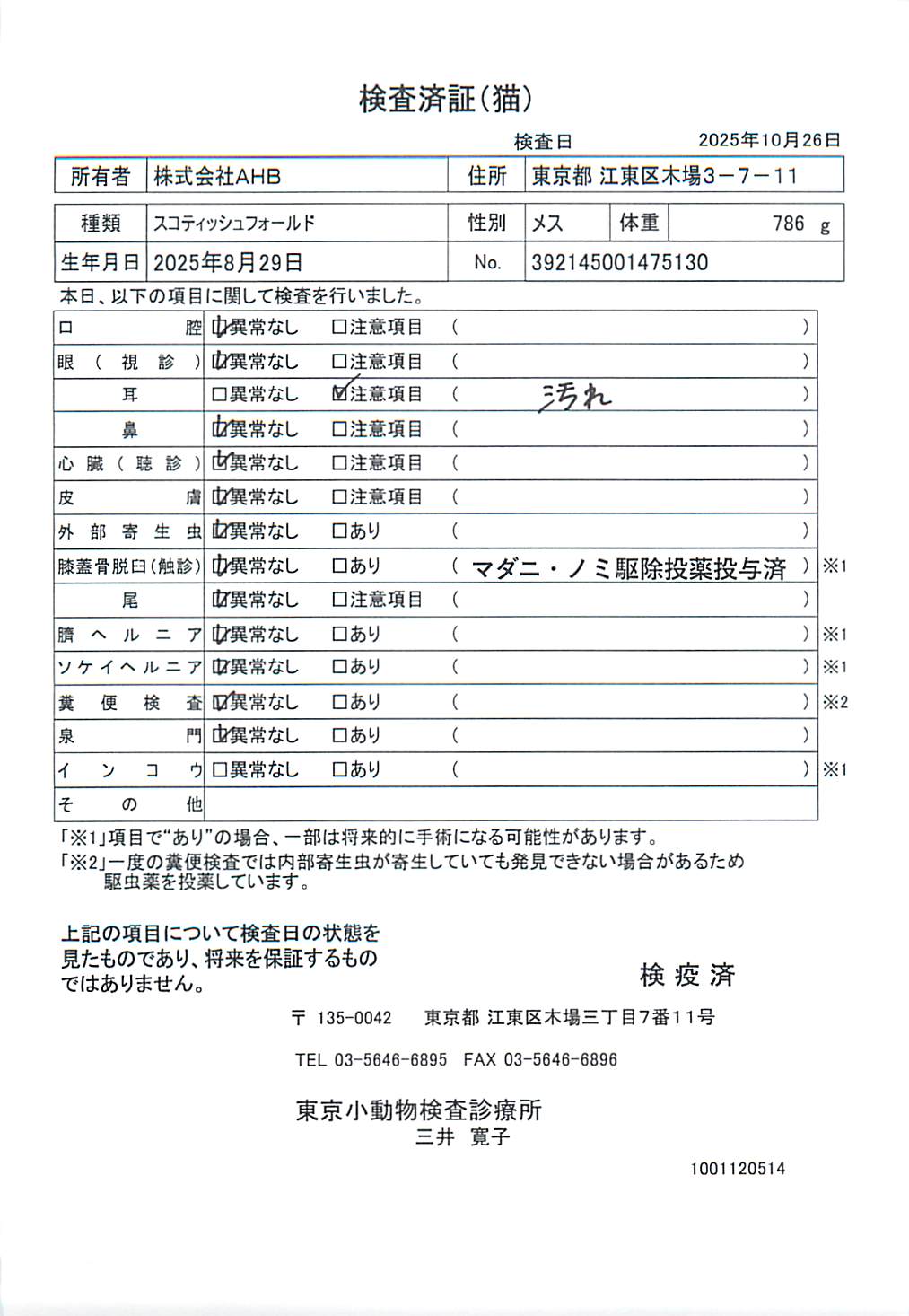 スコティッシュフォールド