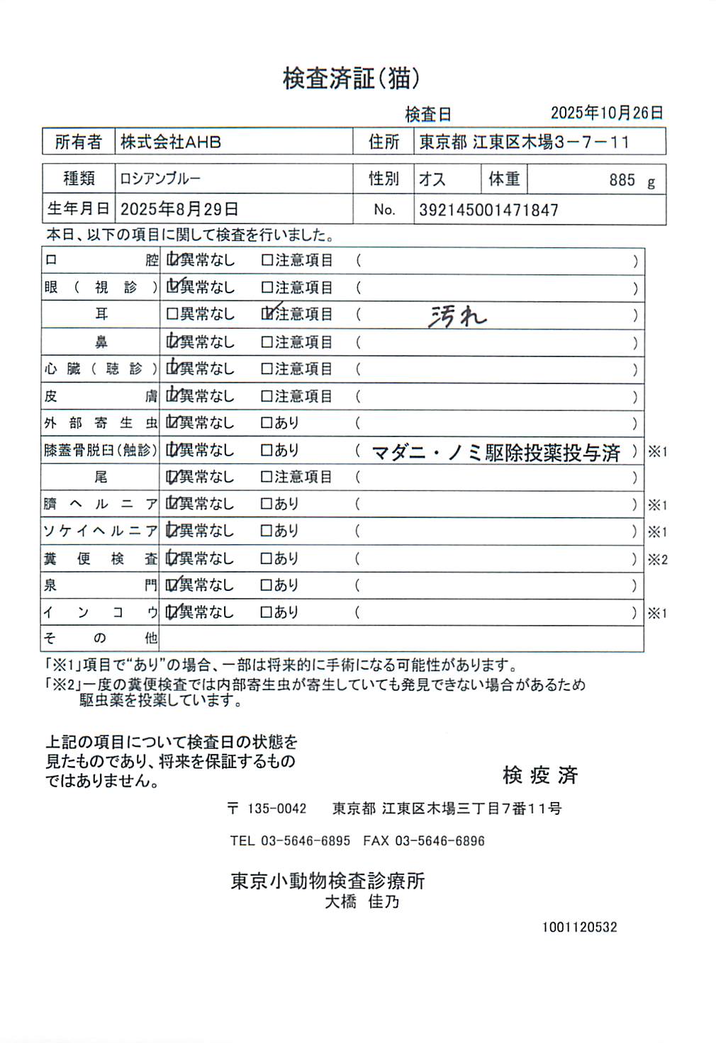 ロシアンブルー